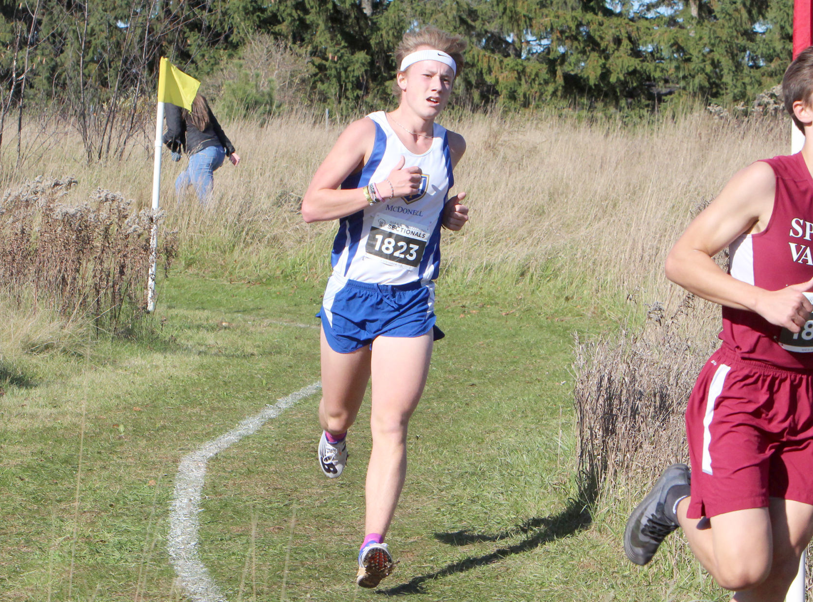 Division 3 Cross Country Sectionals in Boyceville 10-26-19